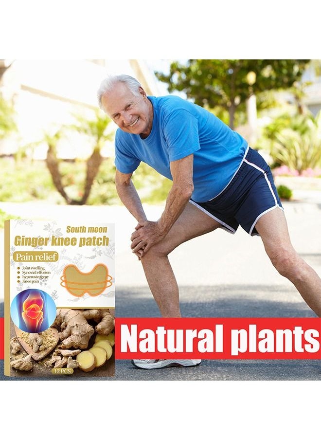 SOUTH MOON - Ginger Knee Patch Pain Relief Warming Plaster Arthritis Pain Patches Heat Patches for Knee Pain Relief and Inflammation Long Lasting Relief of Joint Pains, 12 Pieces - Image 1