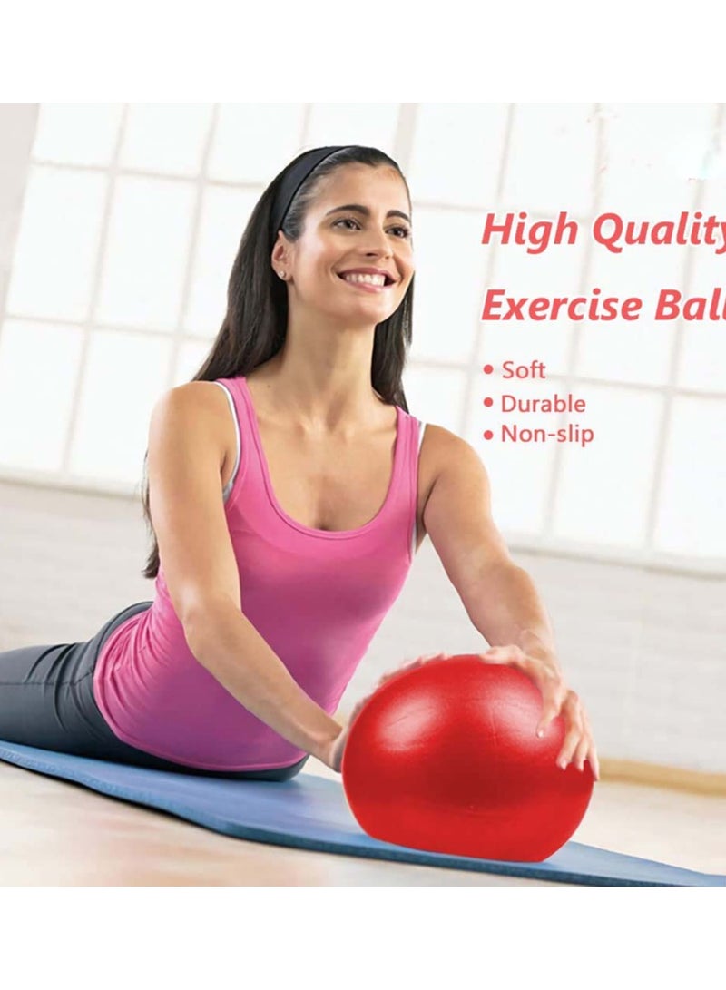 SYOSI 2Pcs Small Pilates Ball Therapy Ball Mini Workout Ball Core Ball 9 Inch Small Exercise Ball Mini Bender Ball Pilates Yoga Workout Bender Core Training and Physical Therapy - Image 4