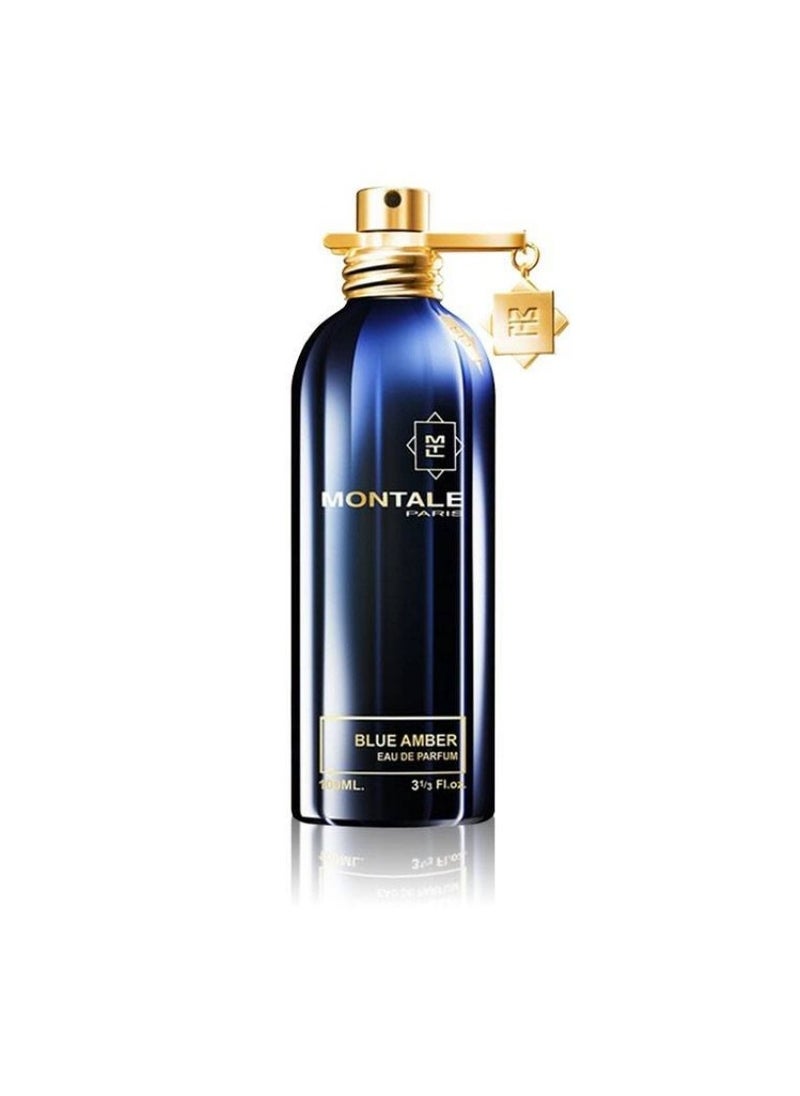 Montale Blue Amber  EDP 100ml - pzsku/Z6B1A1435CA851EE5D78DZ/45/_/1708851562/9bb0e123-f4db-44d1-871f-70a7b2c68e16