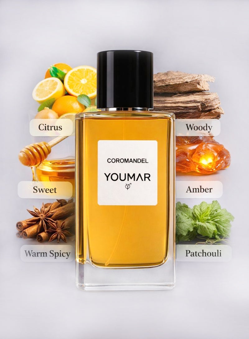 YOUMAR Long-Lasting Patchouli Perfume for Women 100ml – Youmar Coromandel No. 0099 | Balsamic Sweet Amber Evening Fragrance - Image 4