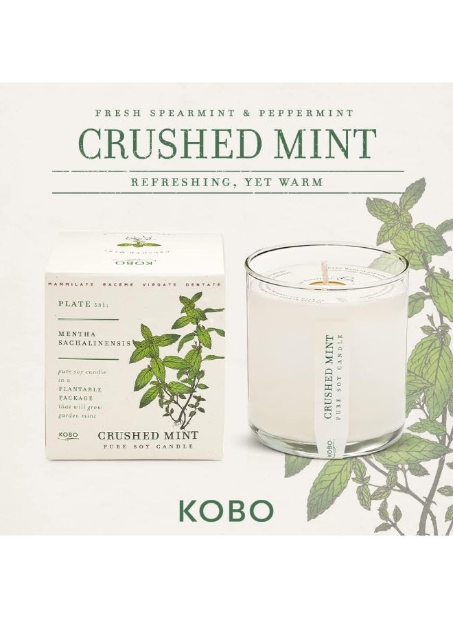 KOBO Crushed Mint Scented Candle with Plantable Box (9 oz) | Plant The Box Collection, 100% Pure Soy Wax Candles | Hand-Poured in USA | Long Lasting 60 Hour Burning Candles | Scented Candles for Home - Image 3