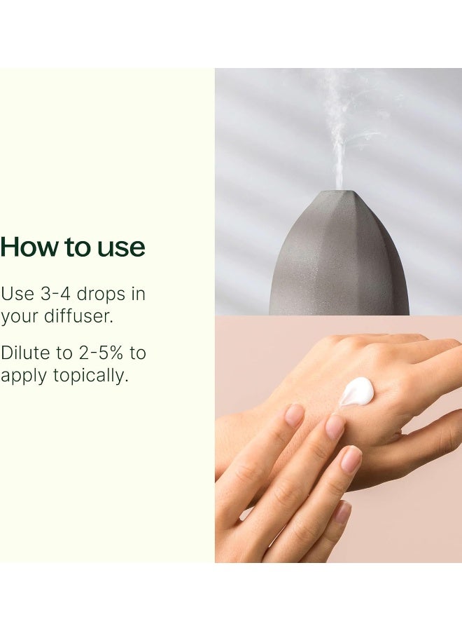 Plant Therapy Lavender Essential Oil 100% Pure, Undiluted, Natural Aromatherapy, Therapeutic Grade 30 mL (1 oz) - Image 1