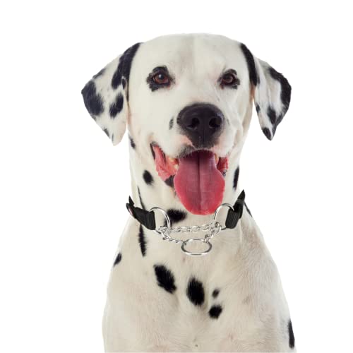 Trixie Premium Stop-The-Pull Collar, Adjustable Nylon Collar for Dogs, Made with Strong Metal Chain to Easily Slip Around Dog's Neck – (L-XL, Jet Black) - Image 5