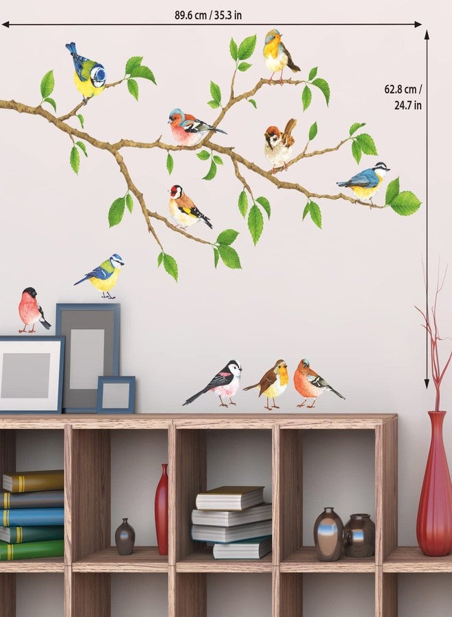 ديكو وال ملصقات حائط على شكل طيور الحديقة من ديكو وول DS4-8036، قابلة للإزالة وقابلة للتقشير واللصق، مناسبة للأطفال وغرف النوم وغرف المعيشة - Image 5