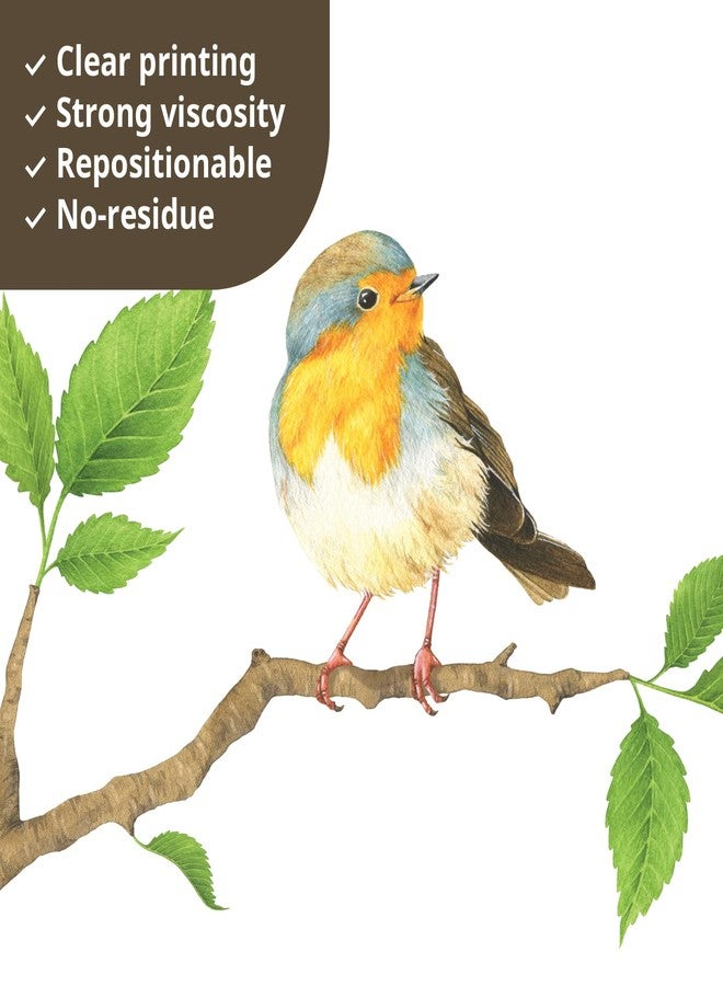 ديكو وال ملصقات حائط على شكل طيور الحديقة من ديكو وول DS4-8036، قابلة للإزالة وقابلة للتقشير واللصق، مناسبة للأطفال وغرف النوم وغرف المعيشة - Image 4