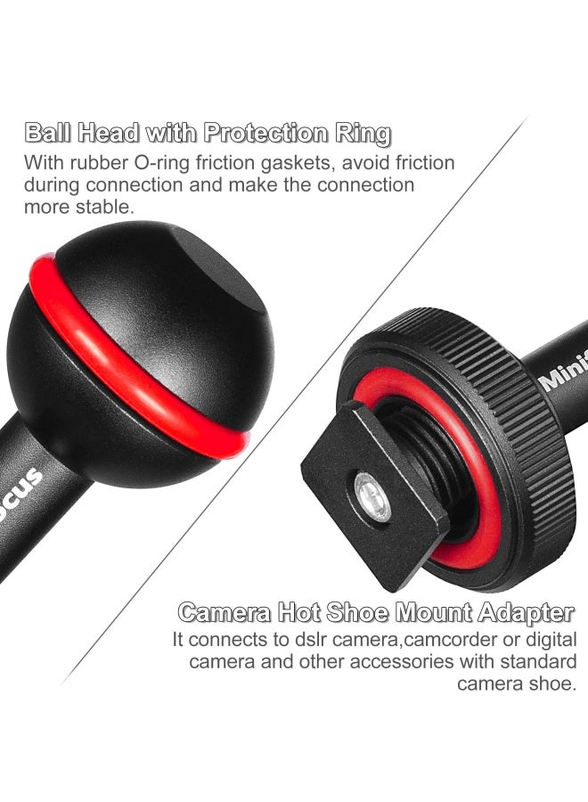 MINIFOCUS 1 Ball Clamp Mount with Cold Shoe Ball Mount Head Base Adapter Connector for Diving Light Arm Underwater Camera Waterproof Housings Case Video Flash Strobe Hot Shoes  - Image 2