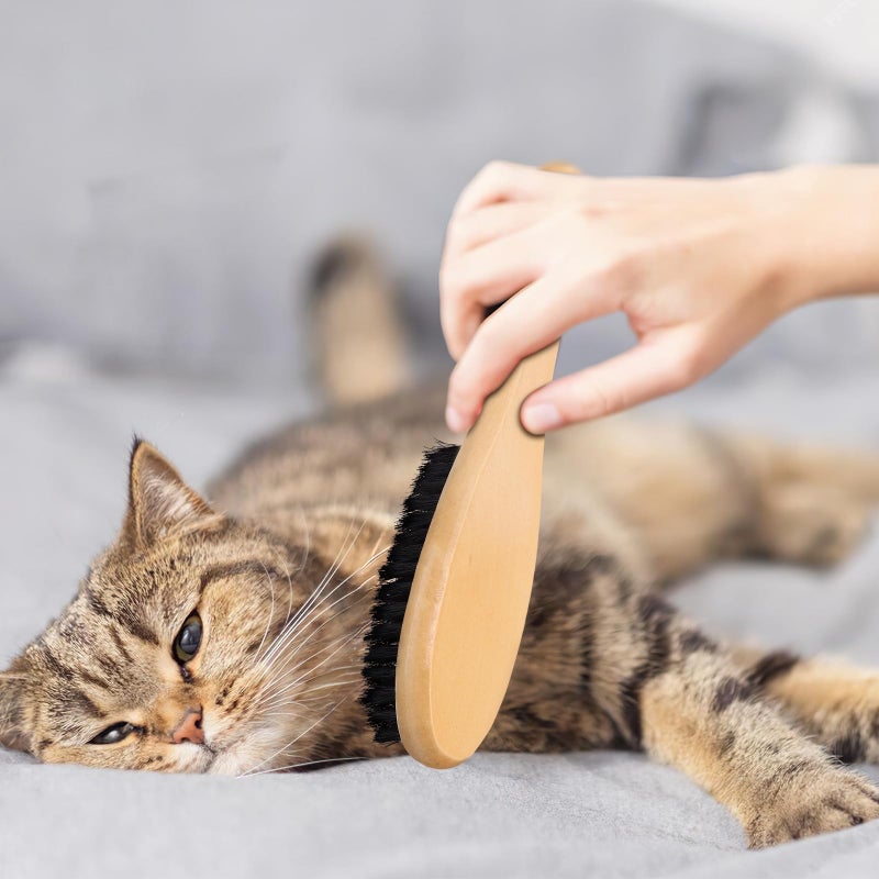 Wood Handle Boar Bristle Cat Brush for Shedding Removal and Laundry Cleaning Black - Image 5
