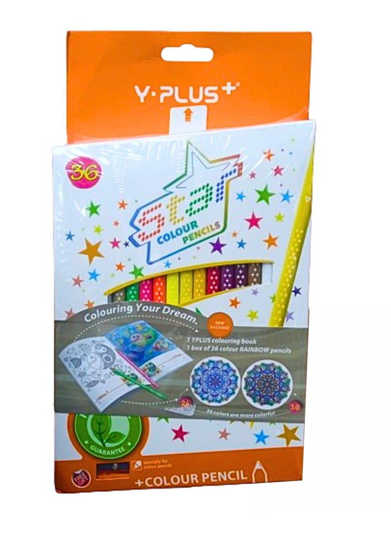 YPlus Wooden Color Pencil Pack of 36pcs - Image 2