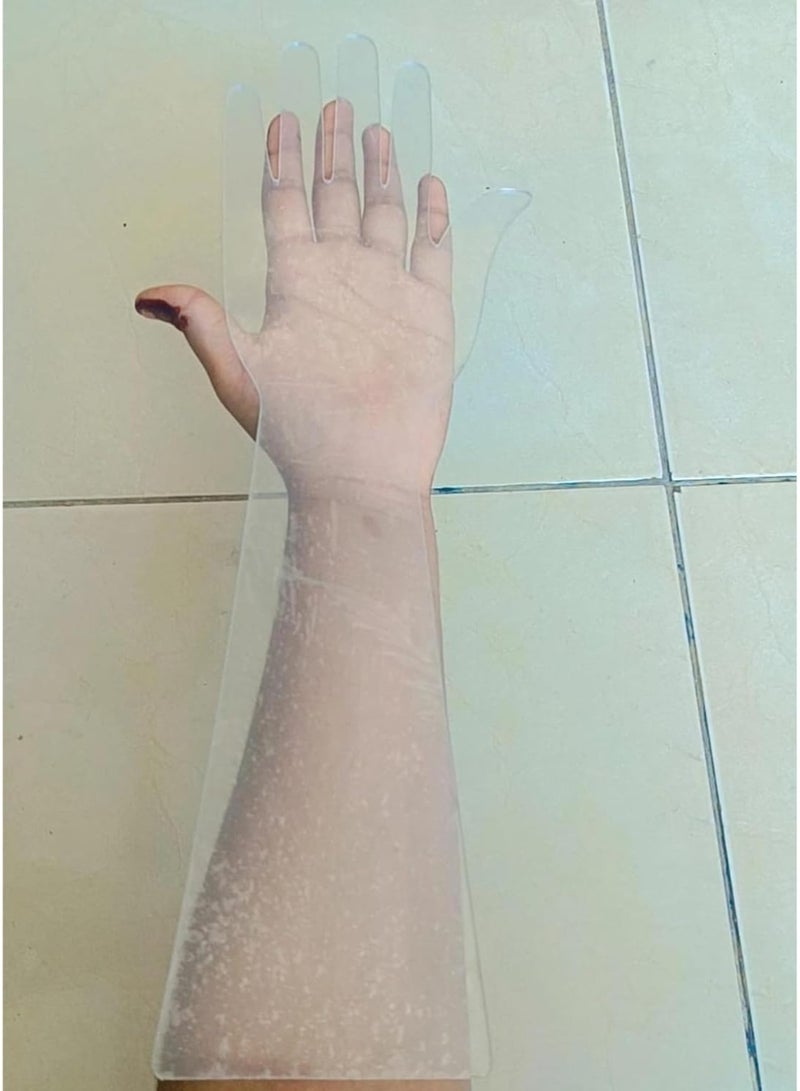 THELIYASTORE Reusable Acrylic Henna Practice Hand Board (3mm Thick) – Clear Elbow Length + Practice Henna Cones | Stain-Free Mehndi Training Kit for Beginners (CLEAR HAND+3 PRACTICE CONE) - Image 3