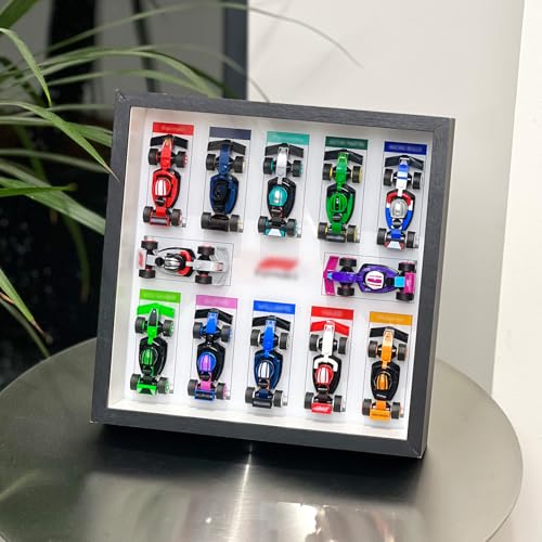 iLuane Display Wallboard for 66796 Holds 12 Cars on One Frame Adult Collectibles Wall Mount Home or Office Dcor Style A No Car Included - Image 5