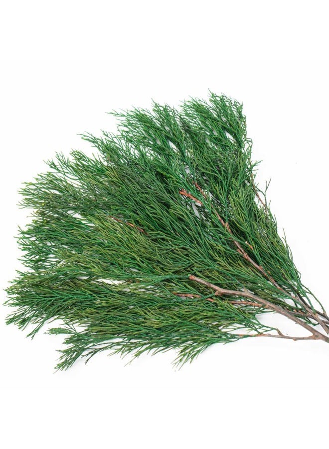 Tavkite 4OZ Preserved Real Pine Leaves Branches -17'' Natural Greenery Plants Twigs Stems Pine Needles Evergreen Picks for Garland Wreath Xmas Wedding Home Party Decor Indoor Outdoor Decoration - Image 1