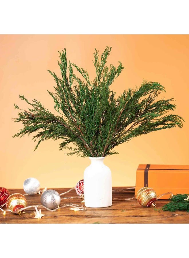 Tavkite 4OZ Preserved Real Pine Leaves Branches -17'' Natural Greenery Plants Twigs Stems Pine Needles Evergreen Picks for Garland Wreath Xmas Wedding Home Party Decor Indoor Outdoor Decoration - Image 2