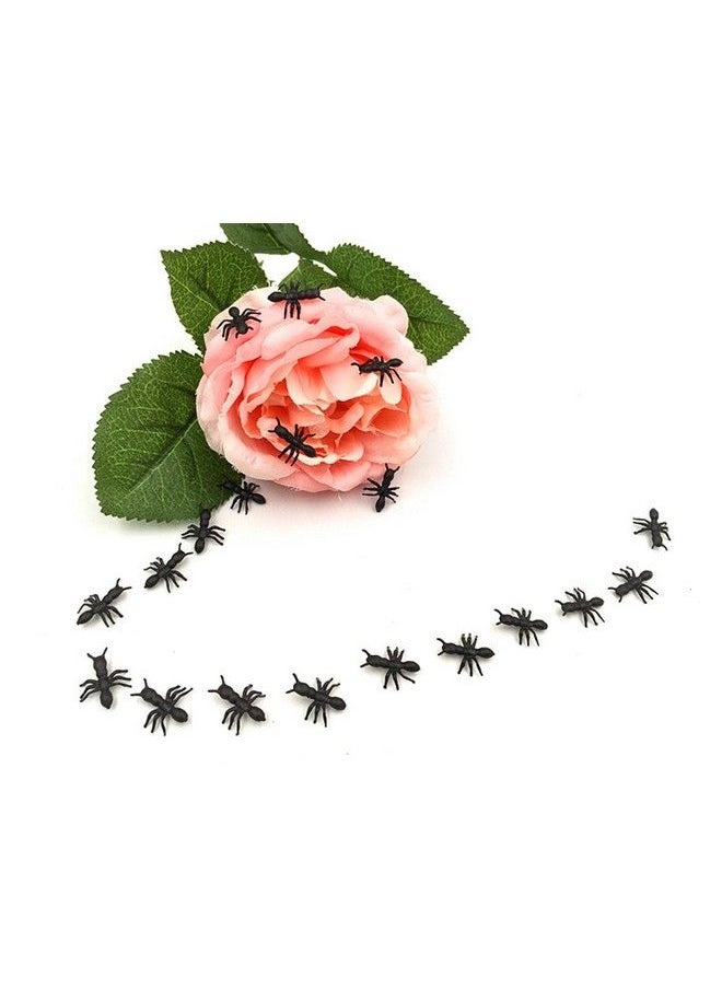 ALIMITOPIA 200Pcs Fake Black Ant Realistic Imitation Bug For Halloween Prank Props (Antblack)  - Image 5