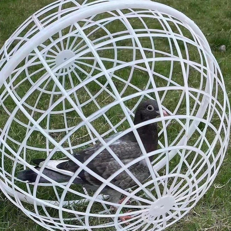 BNF ® Rolling Chicken Coop Ventilation Ball Shape for Geese Chicks Backyard 20cm|Pet Supplies | Small Animal Supplies | Cages & Enclosure|1 Chicken Cage House - Image 4