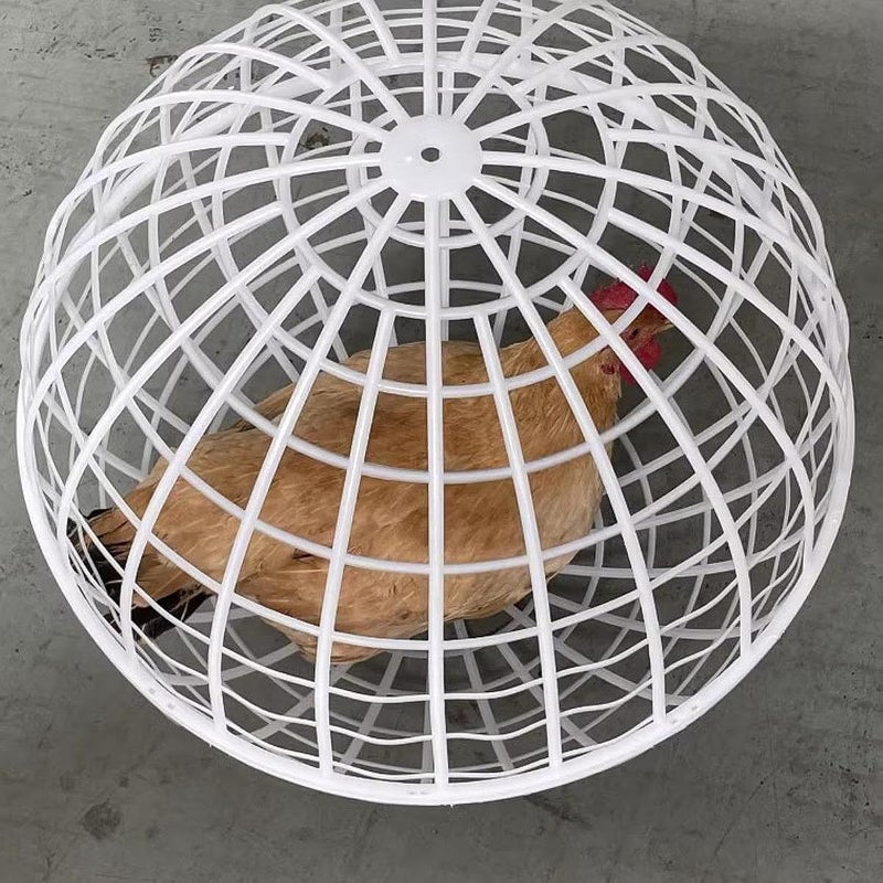 BNF ® Rolling Chicken Coop Ventilation Ball Shape for Geese Chicks Backyard 20cm|Pet Supplies | Small Animal Supplies | Cages & Enclosure|1 Chicken Cage House - Image 2