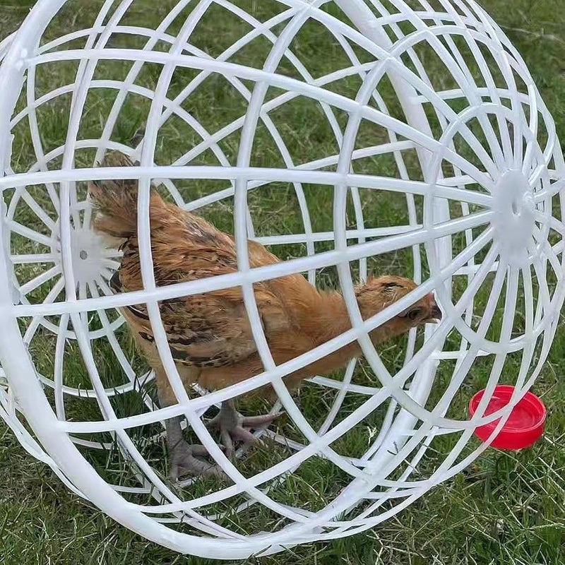 BNF ® Rolling Chicken Coop Ventilation Ball Shape for Geese Chicks Backyard 20cm|Pet Supplies | Small Animal Supplies | Cages & Enclosure|1 Chicken Cage House - Image 3