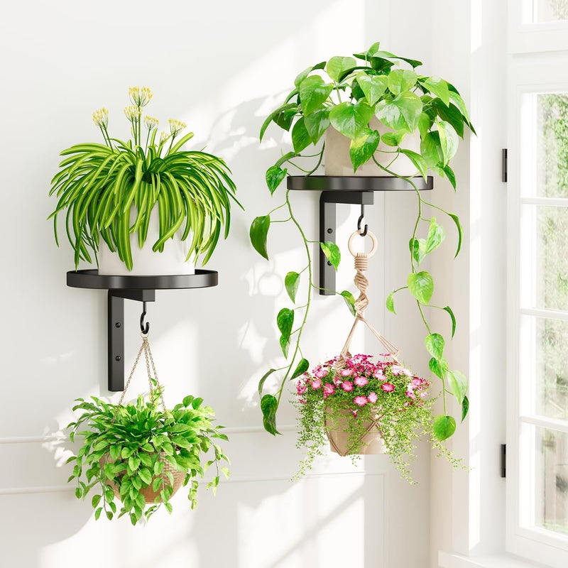 iDavosic.ly Wall Plant Holder Set of 2 for Indoor Outdoor, Metal Hanger with 2 Hooks, Floating Flower Display Stand for Window, Space Saving & Easy to Assemble (Pots/Chains/Plants Not Included), Black - Image 1