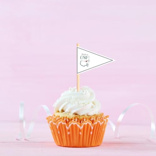 Geloar Hole in One Golf Party Decorations, 240-Piece Set with Cocktail Napkins, Plates, Cups, Bottle Labels, Toothpick Flags, Straws, Gift Tags, and Forks for Golf Birthday and 1st Hole in One Parties - Image 5