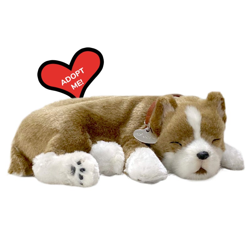Perfect Petzzz Original Petzzz Pit Bull Realistic, Lifelike Stuffed Interactive Pet Toy, Companion Pet Dog with 100% Handcrafted Synthetic Fur - Image 2