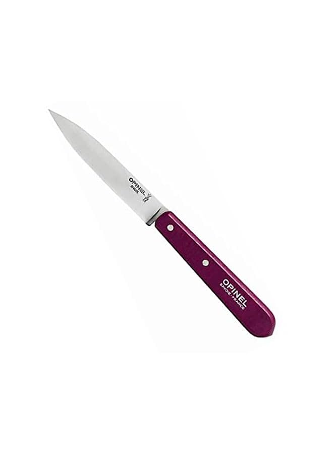 Opinel Sweet Pop Paring Knives (4pieces), Multi-Colour, 10cm, OP-001381, 1 - Image 3