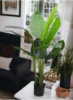 BABAZAM Oval Planter Artificial Plant Green, Home/Office Decoration  - Image 4
