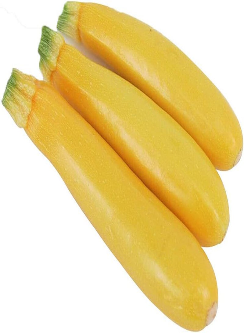 جي جوت 80 قطعة من بذور الكوسة الصفراء النادرة غير المعدلة وراثيًا، خضروات تراثية لزراعة الحدائق والفناء والمزرعة، أصناف من الكوسة سهلة الصيانة - Image 2