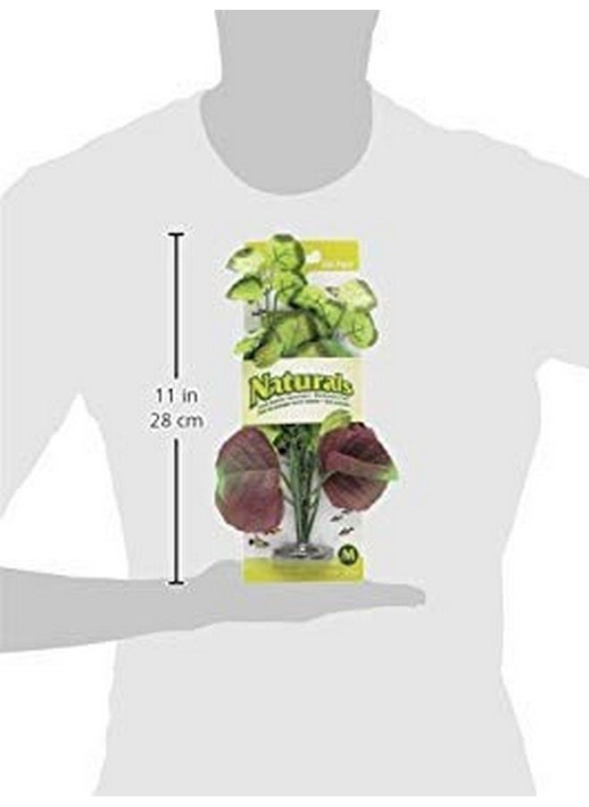 Marina Marina Naturals, Pennywort Silk Plant, Medium Fish Tank Decoration, PP102  - Image 2