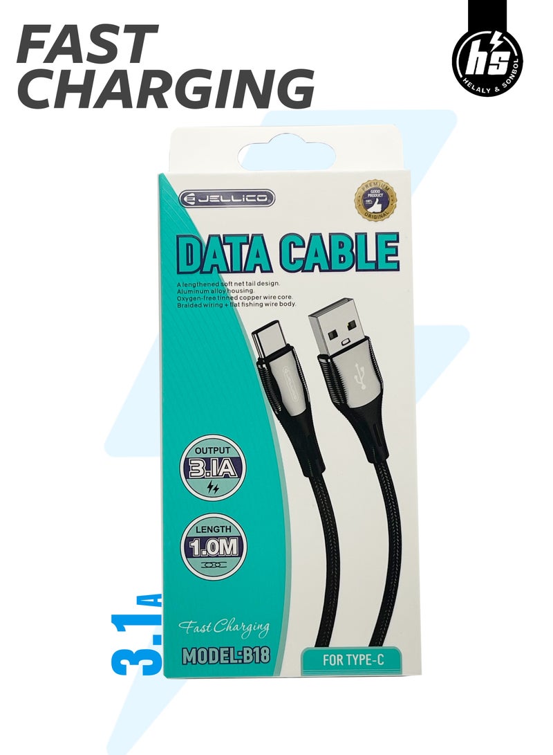 اتش اس كابل شحن USB إلى Type-C بقوة 3.1 أمبير – طرف استانلس متين – موديل B18 - Image 1