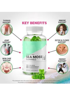 Daynee Sea Moss Gummies - Natural Irish Sea Moss and Bladderwrack with Burdock Gummy - 60 Gummies - Vegan - Thyroid, Healthy Skin, Keto Detox, Gut, Joint Support Alkaline Supplements  - Image 2