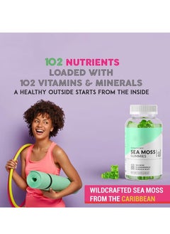Daynee Sea Moss Gummies - Natural Irish Sea Moss and Bladderwrack with Burdock Gummy - 60 Gummies - Vegan - Thyroid, Healthy Skin, Keto Detox, Gut, Joint Support Alkaline Supplements  - Image 5