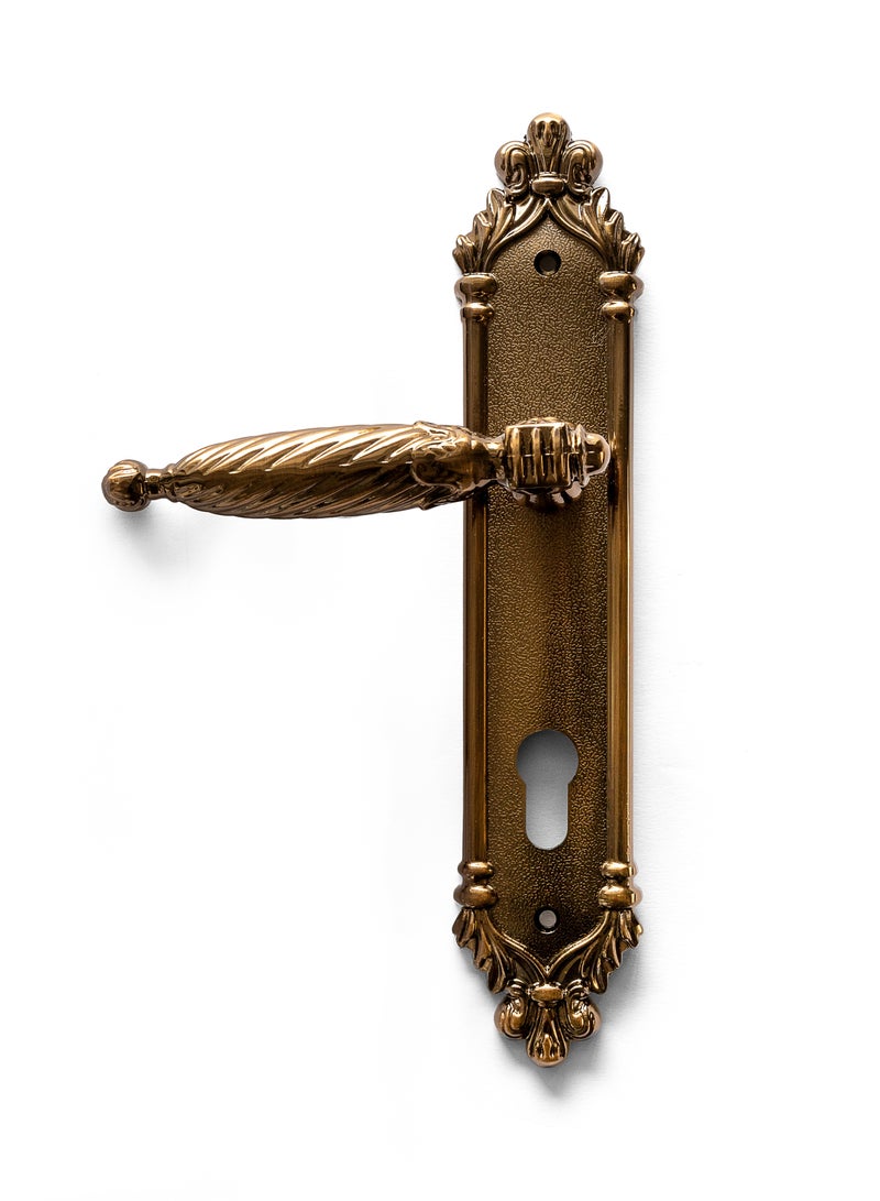 Siag Akad Cylinder Door Handle - Image 1