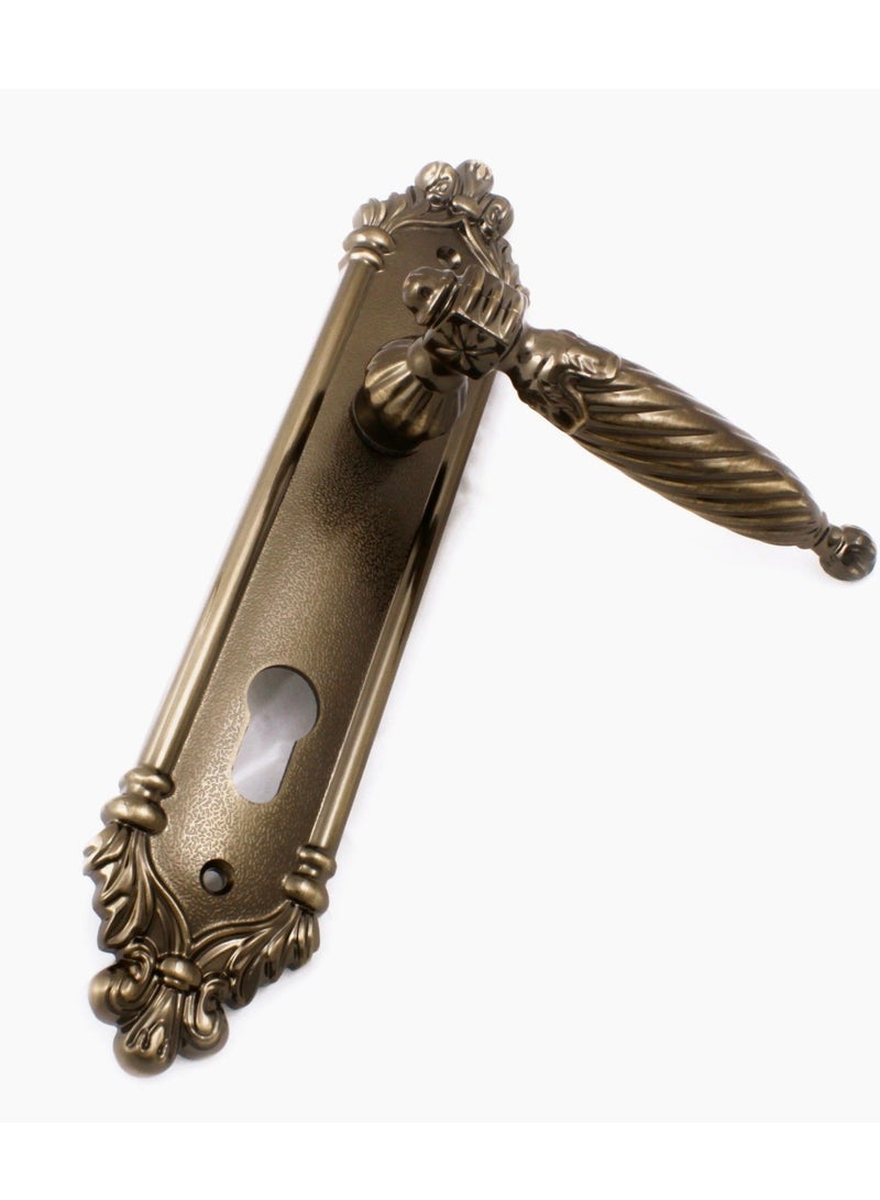 Siag Akad Cylinder Door Handle - Image 2