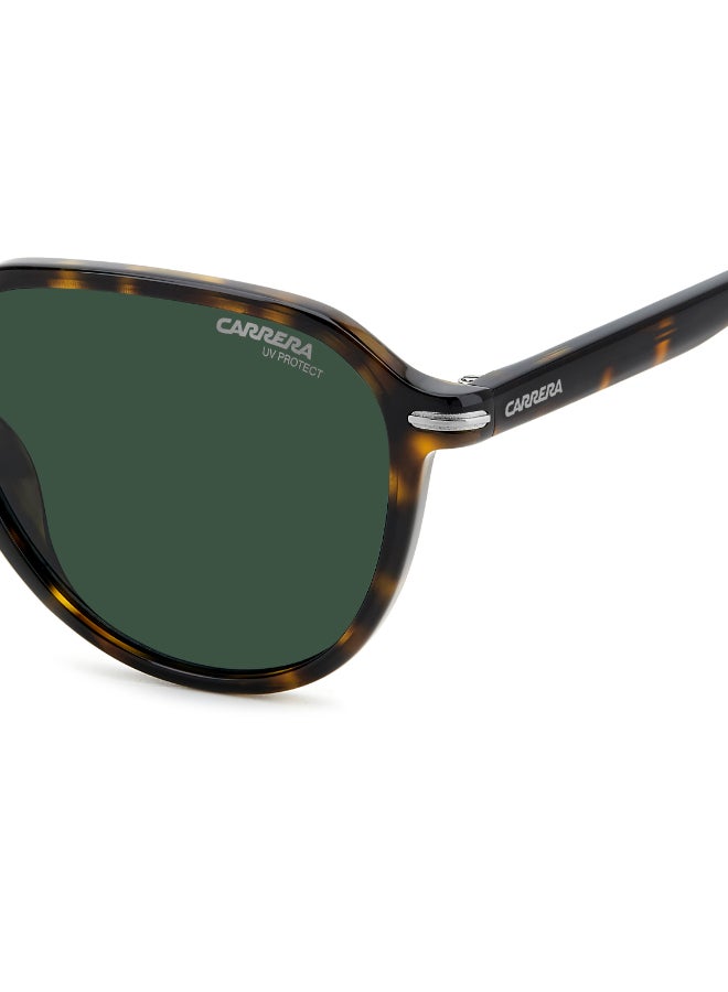 Carrera إطارات نظارات بانثوس كاريرا الشمسية - Image 5