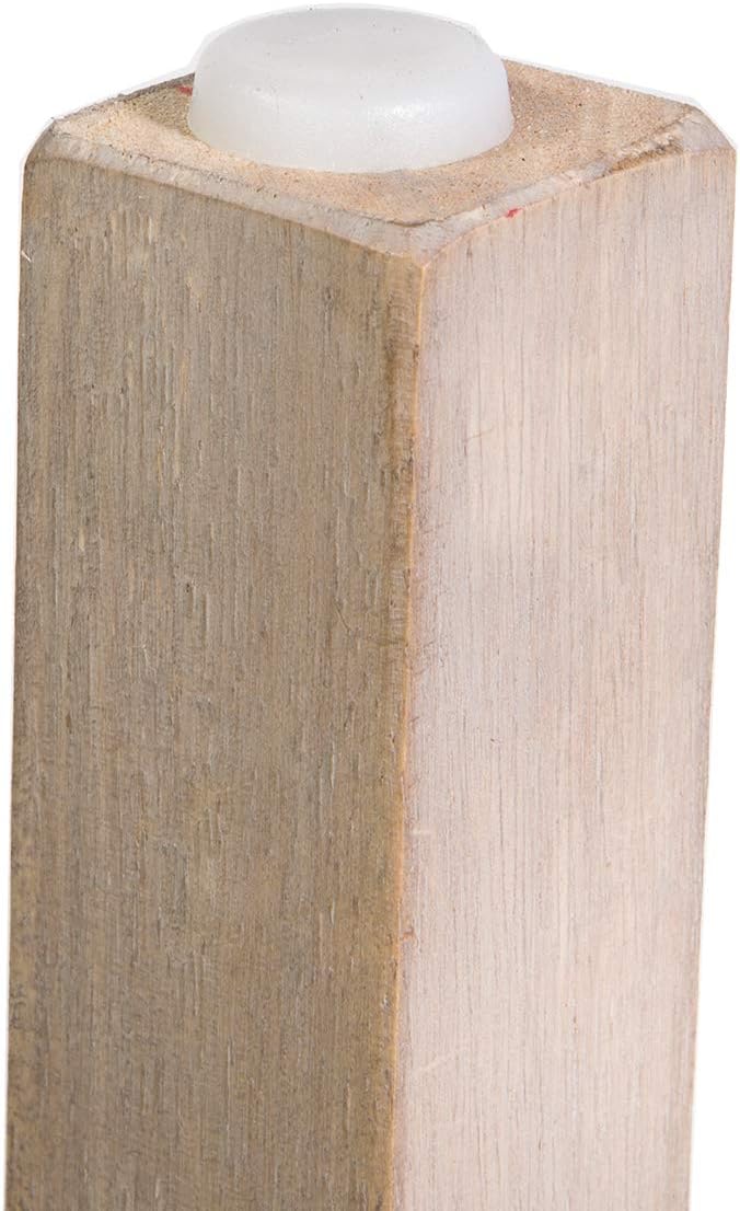 Barton Set of 2 Bar Stools Beige 24 Saddle Backless Premium Padded IndoorOutdoor Nailhead Cushion Kitchen Counter Chairs Pub Seat Foot Rest - Image 3