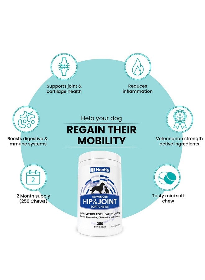 nootie Glucosamine For Dogs  250 Ct  Hip And Joint Soft Chews Supplement For Dogs  Daily Dog Msm Chondroitin Chews With Turmeric  Joint Care Vitamins For All Breeds And Sizes Usa - Image 5