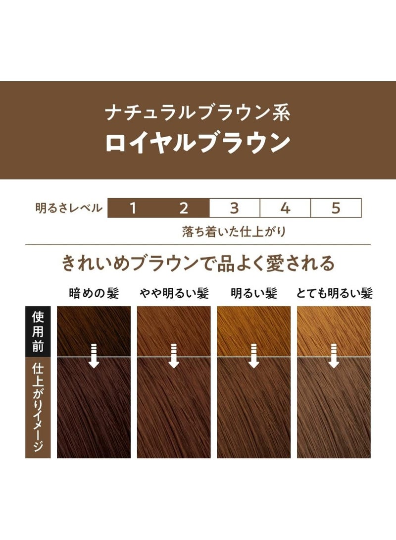 Liese Prettia Bubble Color Hair Dye - Image 3