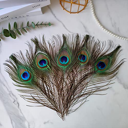 THARAHT 60pcs Peacock Feather Natural in Bulk 10-12 inch 25-30cm for Craft Vase Wedding Home Party Christmas Day Decoration Peacock Feathers - Image 3