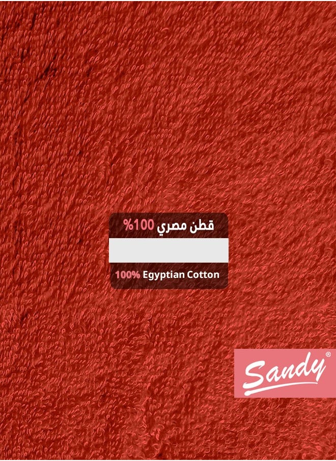 ساندي ساندي منشفة شعر فاخرة بجودة الفنادق مصنوعة من القطن بنسبة 100% مصنوعة في مصر - 600 غرام لكل متر مربع، ناعمة وسريعة الجفاف وعالية الامتصاص (4 قطع - 50 × 90 سم) -طوبي  - Image 4