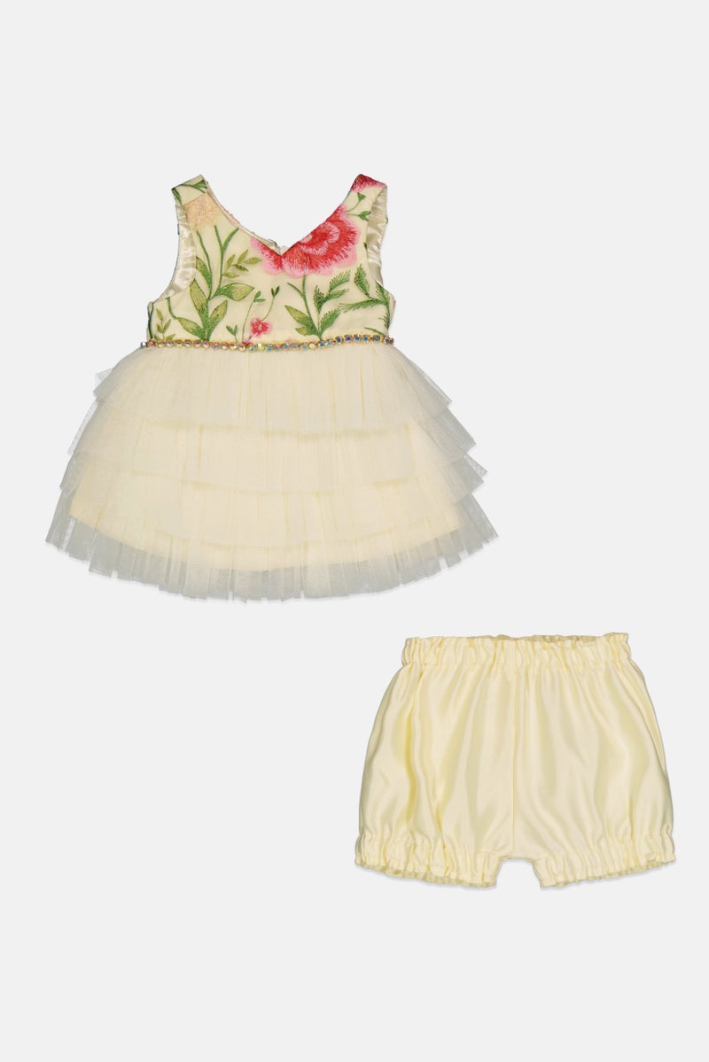american Princess Toddlers Girl 2 Pieces Embroidered Partywear Dress And Short Set, Multicolor  - Image 1