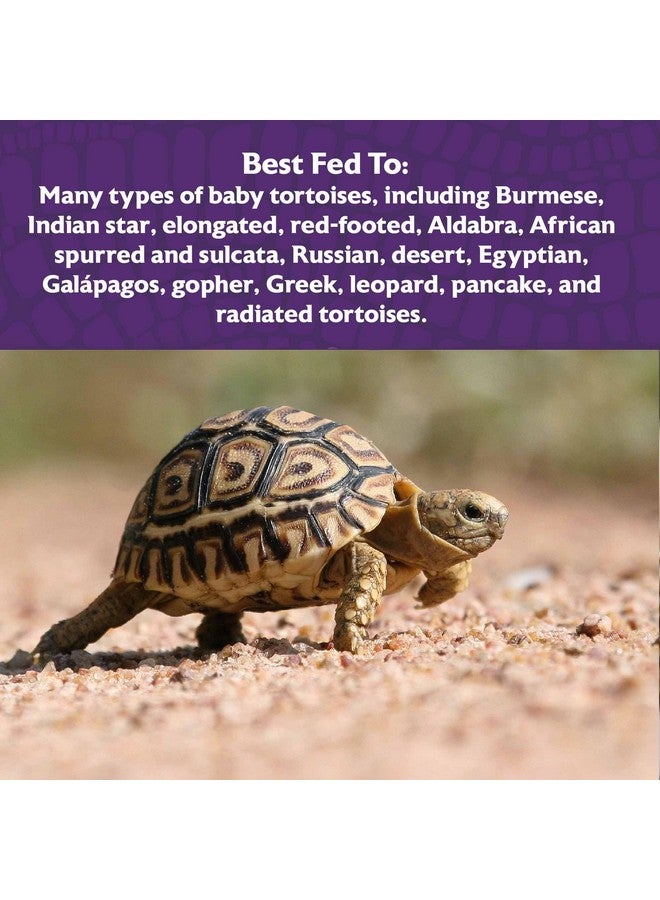 Mazuri Mazuri | Juvenile Tortoise Food for Baby Tortoises | 8 Ounce (8 oz) Bag  - Image 4