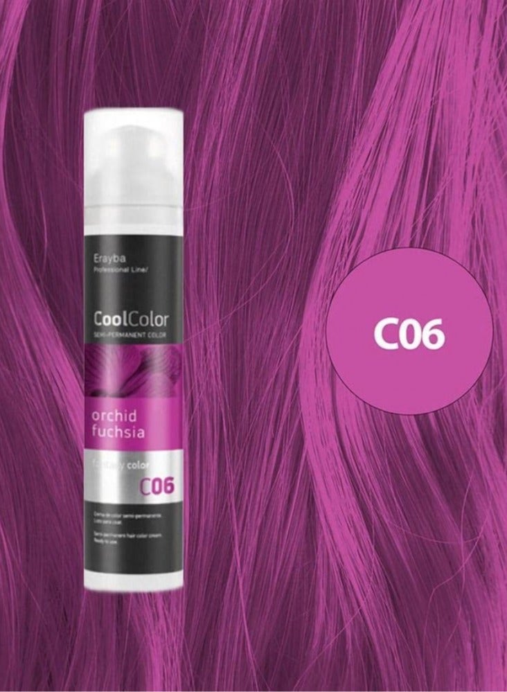 Erayba Cool Color Temporary Hair Dye100ml C06 Fuchsi Color - Image 1