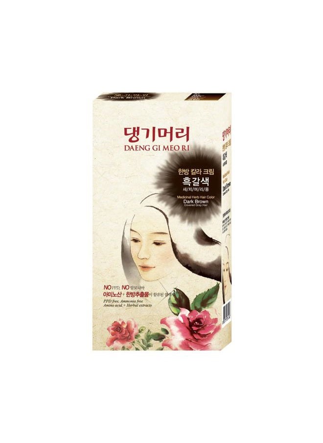 DAENG GI MEO RI - – Korean Herbal Hair Dye Color Cream [Dark Brown] (3 PACK) - PPD-Free Gray Coverage, Hair Protection, High-Keratin Formula, 5 Oz - Image 1