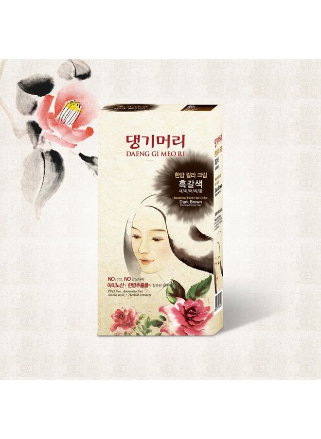 DAENG GI MEO RI - – Korean Herbal Hair Dye Color Cream [Dark Brown] (3 PACK) - PPD-Free Gray Coverage, Hair Protection, High-Keratin Formula, 5 Oz - Image 1