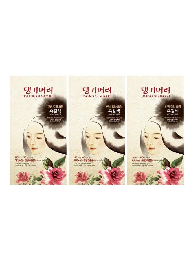DAENG GI MEO RI - – Korean Herbal Hair Dye Color Cream [Dark Brown] (3 PACK) - PPD-Free Gray Coverage, Hair Protection, High-Keratin Formula, 5 Oz - Image 1