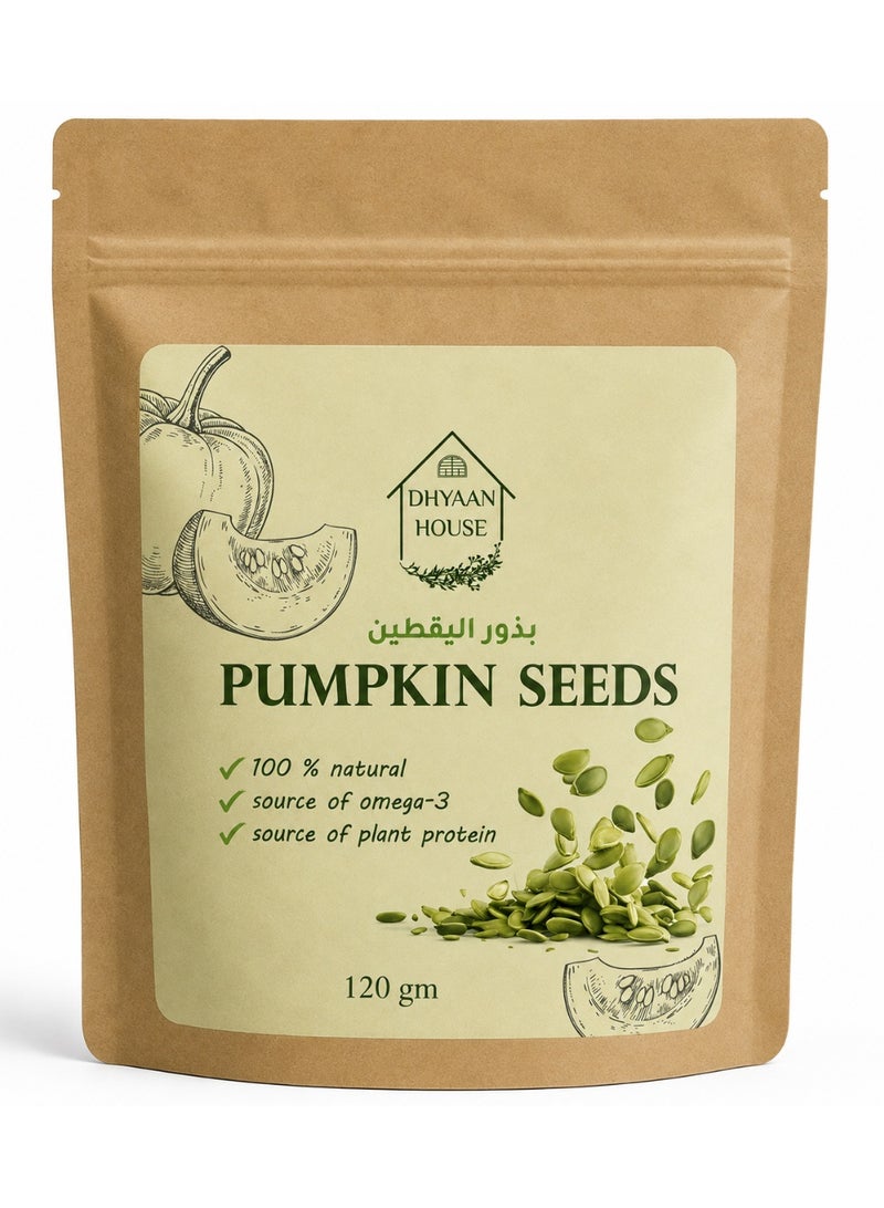 Dhyaan House Pumpkin Seeds - 120g - Image 1