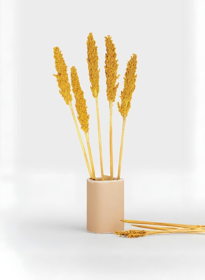 RUKDA® Golden Sorghum Dried Flower - 2 Pcs Dry Grass Bouquet for Wedding Table Centerpieces, Home, Office Decoration - Image 2
