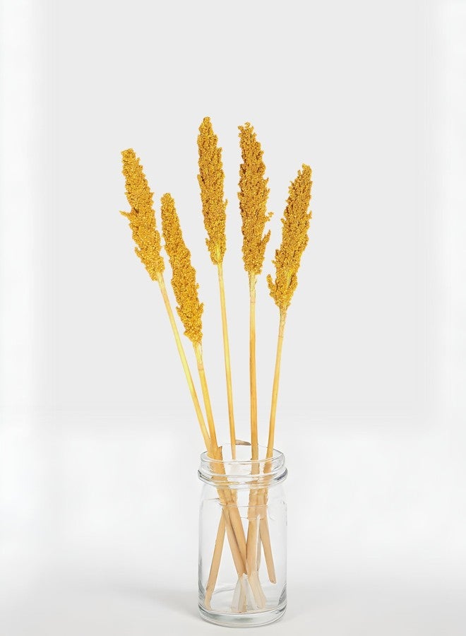 RUKDA® Golden Sorghum Dried Flower - 2 Pcs Dry Grass Bouquet for Wedding Table Centerpieces, Home, Office Decoration - Image 3