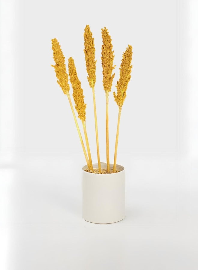 RUKDA® Golden Sorghum Dried Flower - 2 Pcs Dry Grass Bouquet for Wedding Table Centerpieces, Home, Office Decoration - Image 4