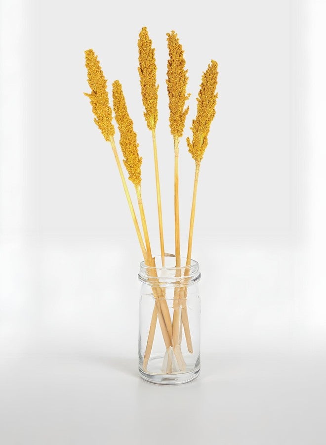 RUKDA® Golden Sorghum Dried Flower - 2 Pcs Dry Grass Bouquet for Wedding Table Centerpieces, Home, Office Decoration - Image 5