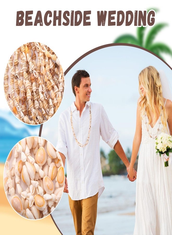 Ecation 12 Pieces Hawaii Shell Leis Bulk Corn Conch and Small Conch Necklace Natural Tahitia Nassa Summer Beach Party Jewelry - Image 4